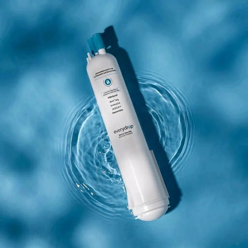 Everydrop EDR3RXD1 Refrigerator Water Filter 3 Replacement